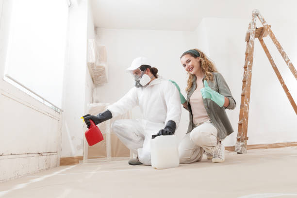 Mold Odor Removal Services in Poplar Bluff, MO